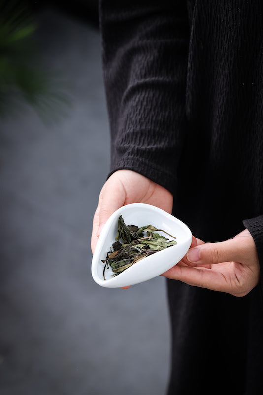 White Porcelain "Cha Ze" Tea Presentation Scoop - Jesse's Teahouse
