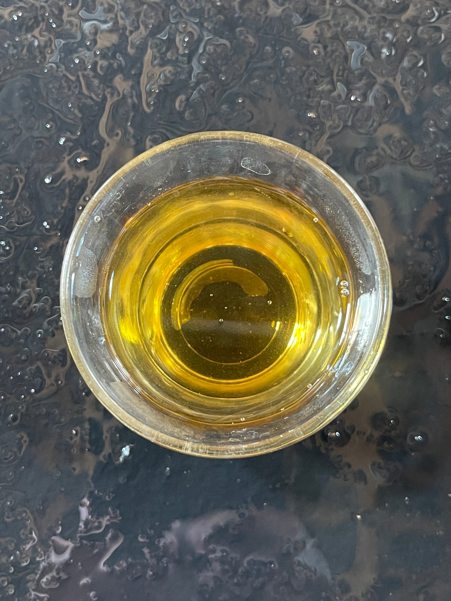 Thousand-Year Tree Wild Red Tea (2022) TEA MASTER SERIES - Jesse's Teahouse