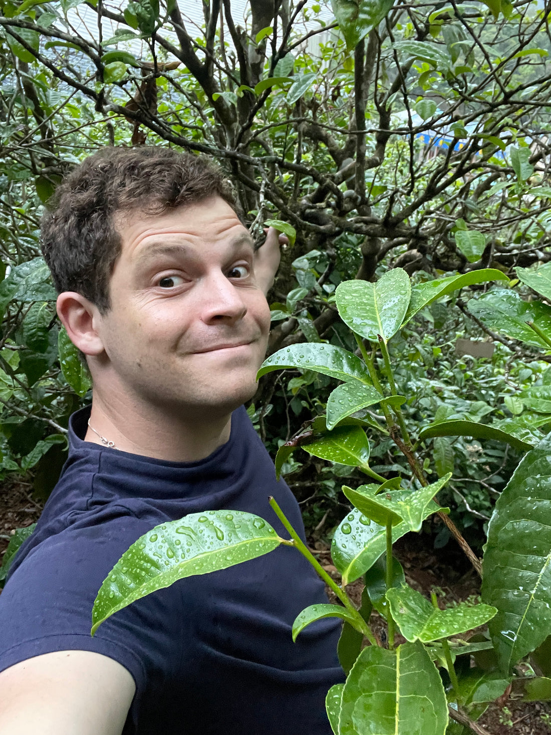 Tea Club Members: A Letter from Jesse