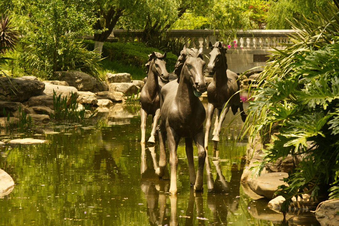 The Year of the Horse rides in!