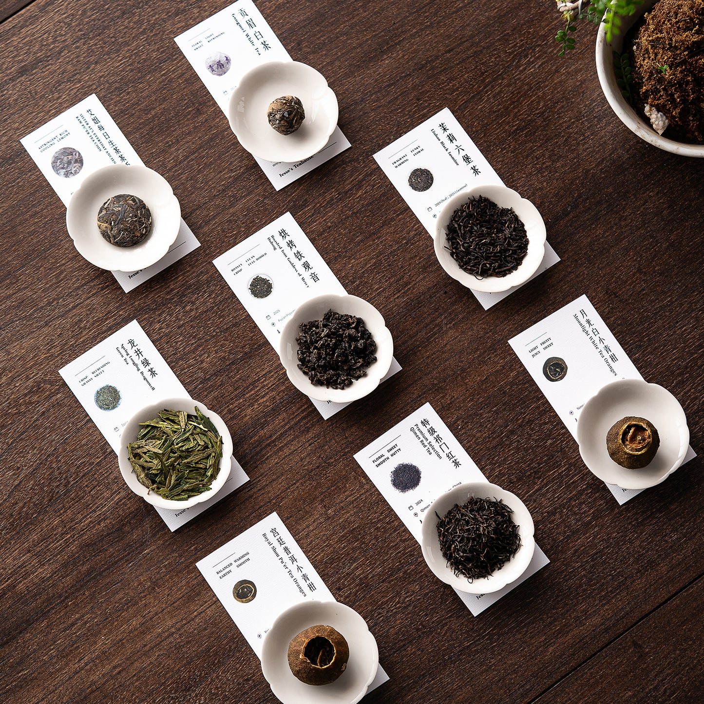 Jesse's 8-Tea Gongfu Tea Sampler