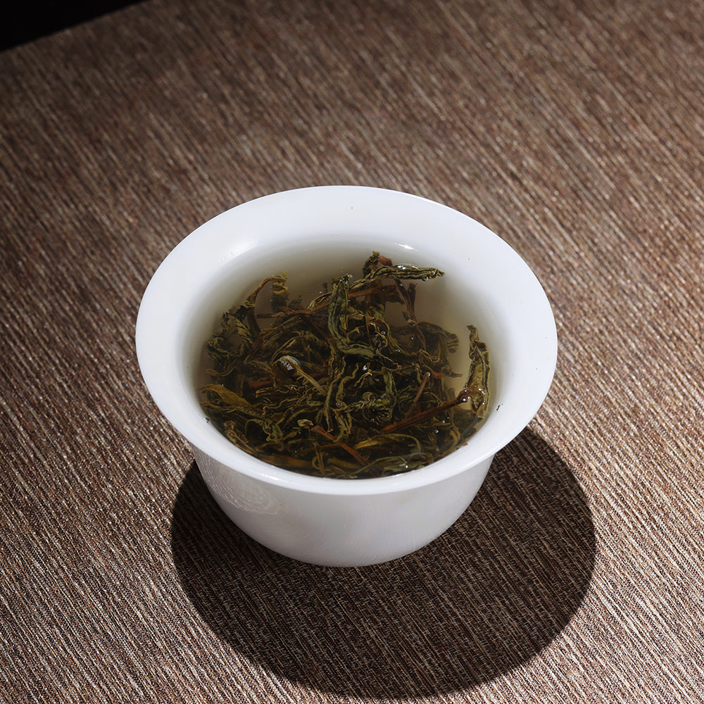 2024 Spring Ancient Tree Hong Yao Green Tea - Jesse's Teahouse