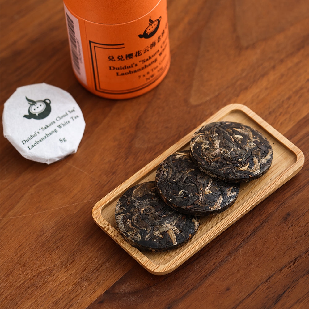 Duidui's Laobanzhang "Sakura Sea" Ancient Tree White Tea - Jesse's Teahouse