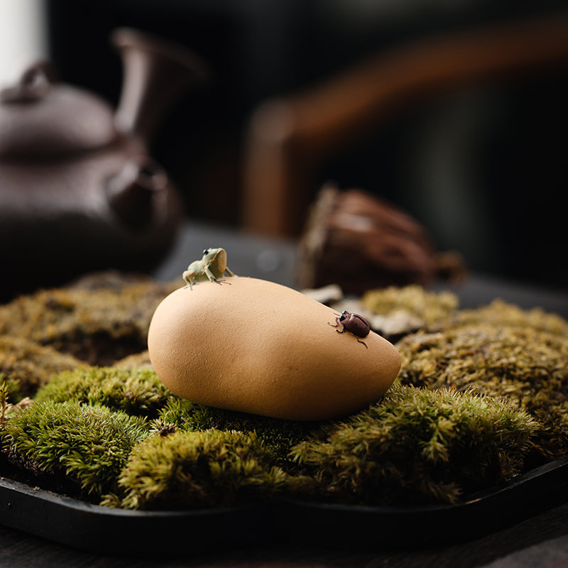 Spitting Frog Tea Pet - Jesse's Teahouse