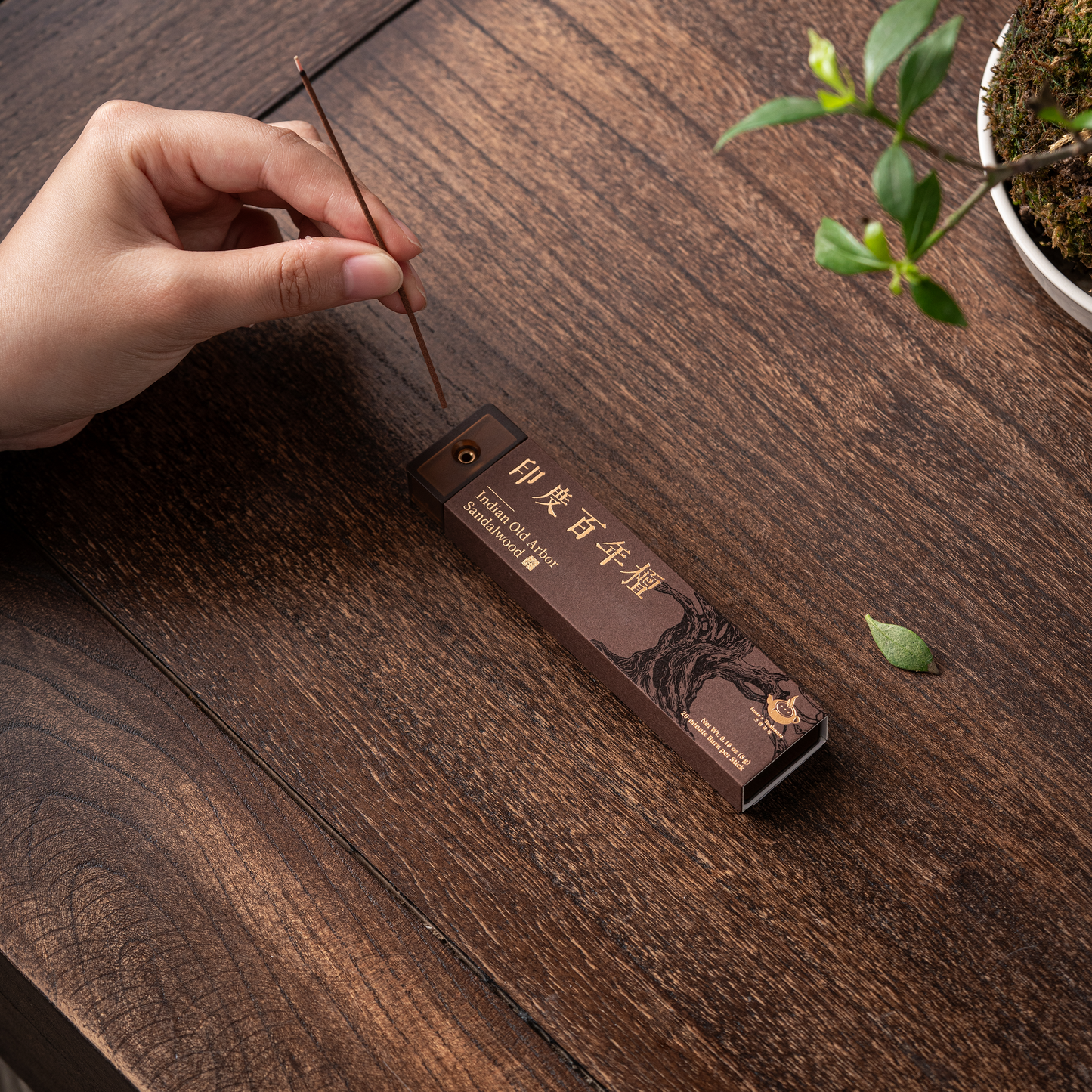 Indian Old Arbor Sandalwood Incense