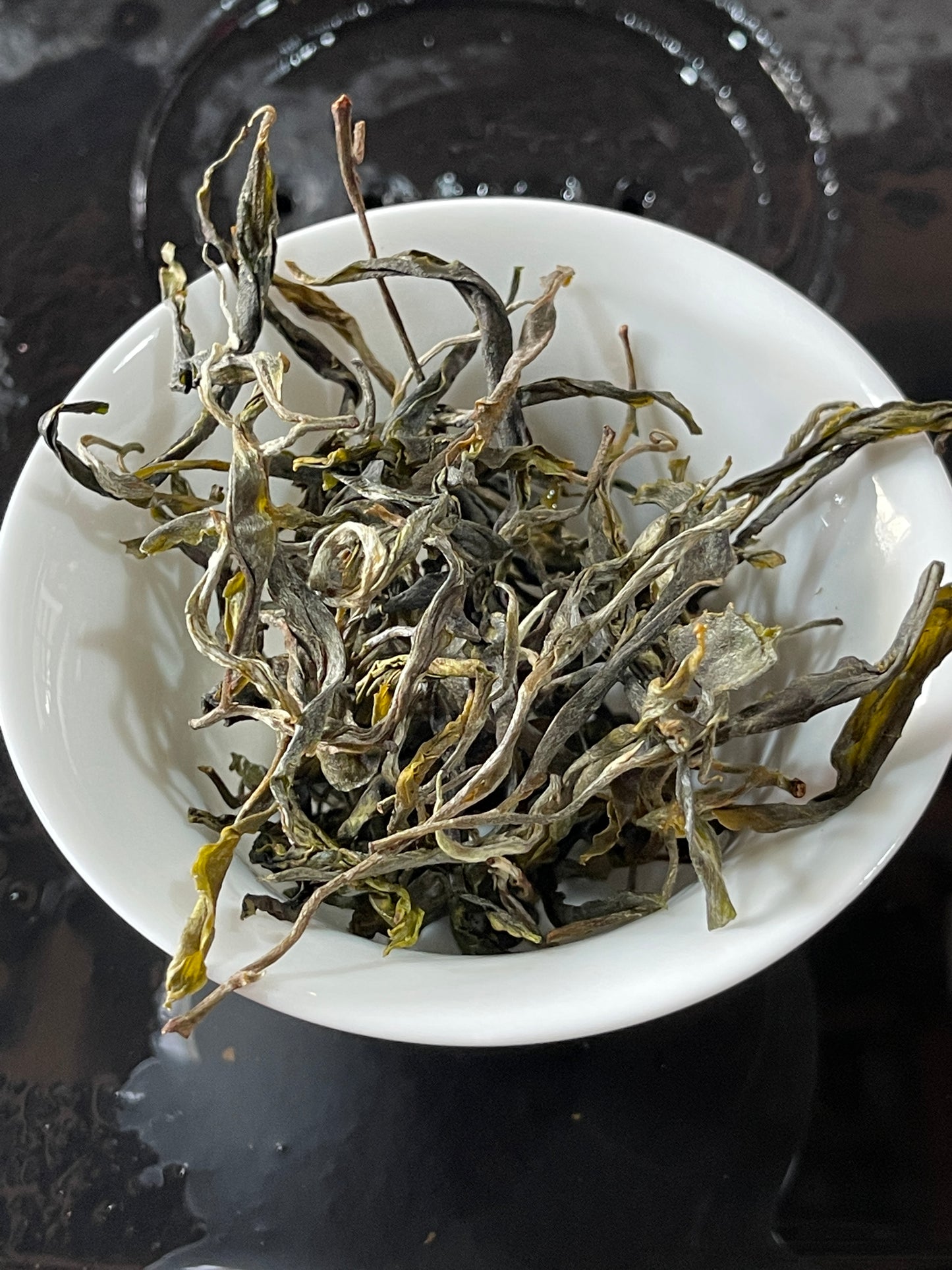 Qianjiazhai Ancient Tree Sheng Pu'er (2023) TEA MASTER SERIES - Jesse's Teahouse