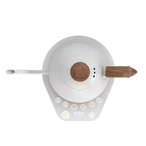 Artisan Electric Gooseneck Kettle - Jesse's Teahouse