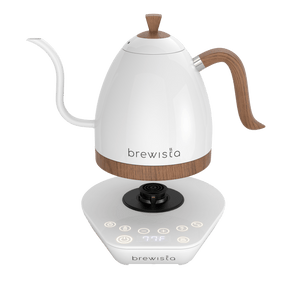 Artisan Electric Gooseneck Kettle - Jesse's Teahouse