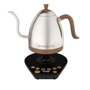 Artisan Electric Gooseneck Kettle - Jesse's Teahouse