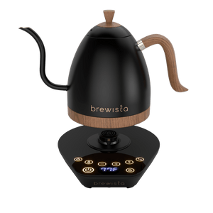 Artisan Electric Gooseneck Kettle - Jesse's Teahouse