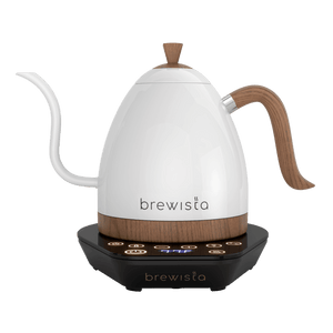 Artisan Electric Gooseneck Kettle - Jesse's Teahouse