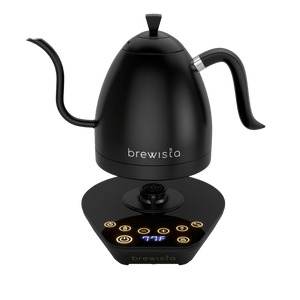 Artisan Electric Gooseneck Kettle - Jesse's Teahouse