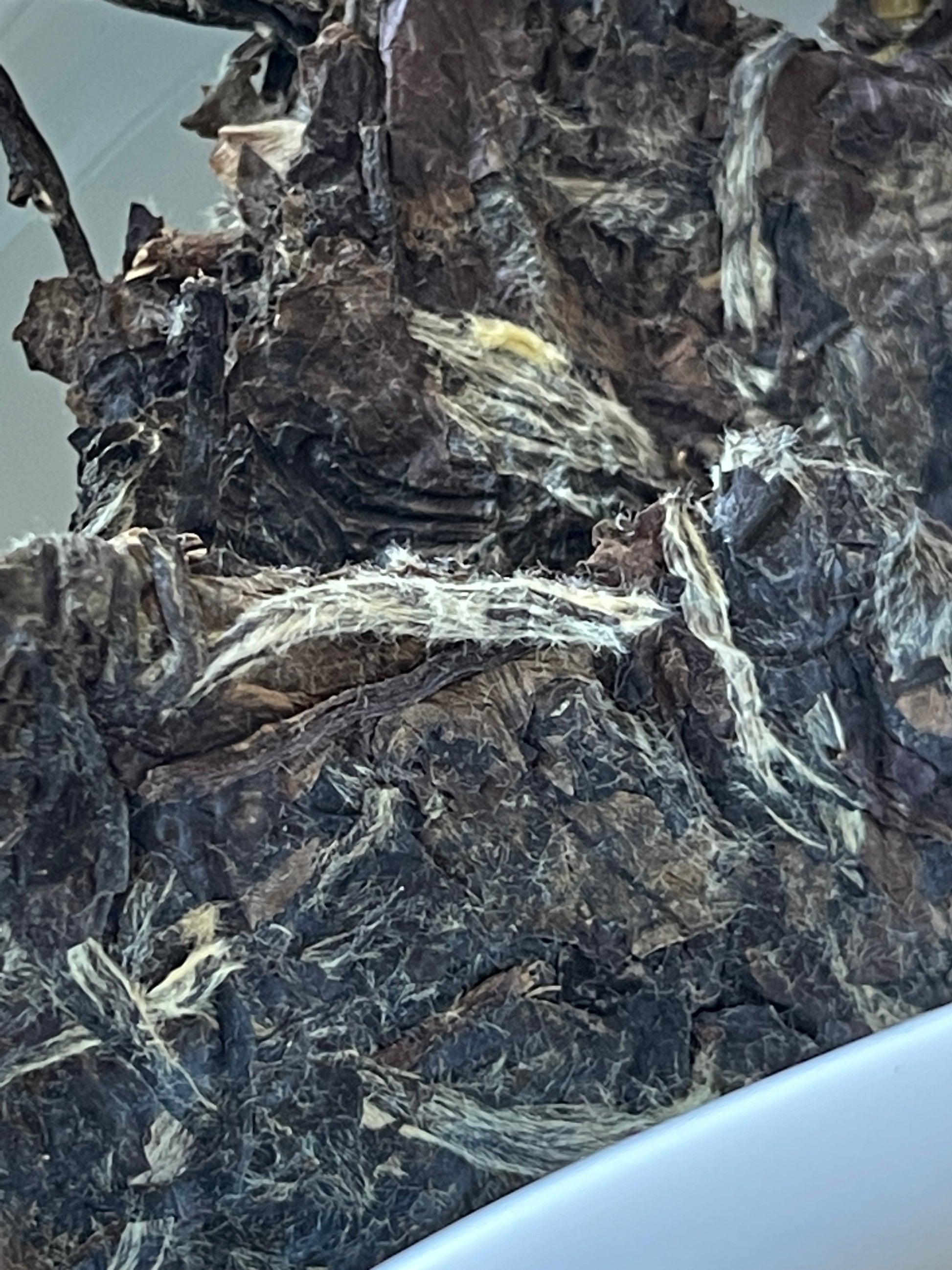 2011 Fuding Aged White Tea - Jesse's Teahouse